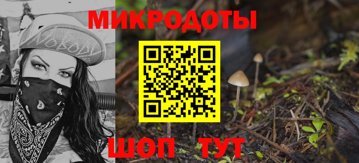 Галлюциногенные грибы Cubensis  как найти наркотики  Боровичи  Вход с VPN 