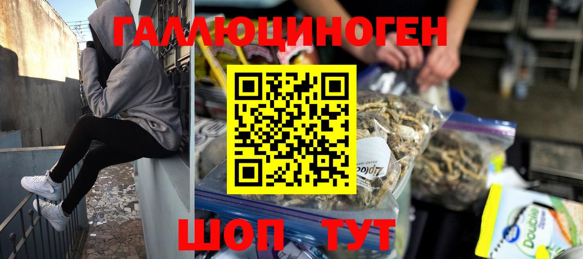 Галлюциногенные грибы Psilocybe Боровичи